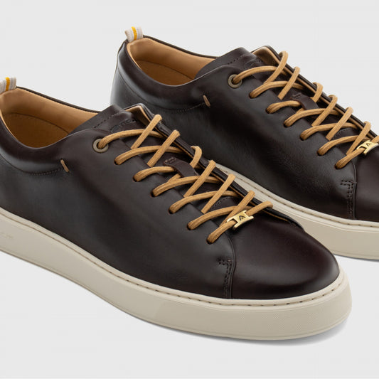 Ambitious Smart Trainer in Brown
